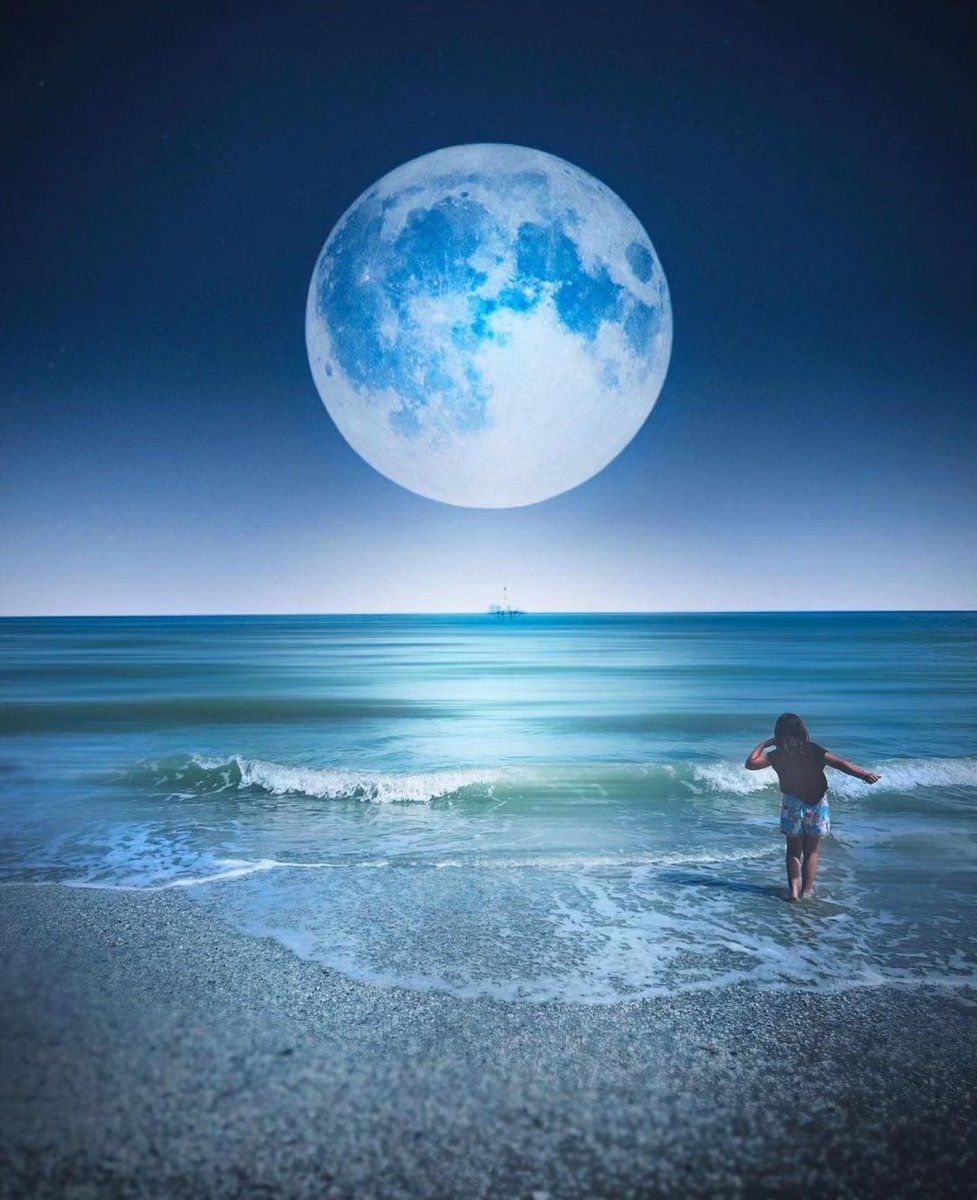 M1ONLOVER's tweet photo. Super blue Moonset. https://t.co/RqvFa17Q7j