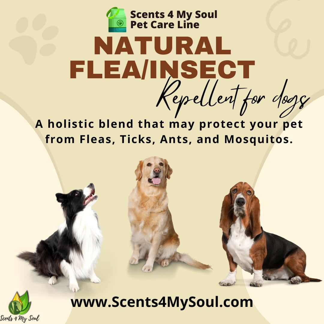 Shop Now! GoTo.Scents4MySoul.com/3lfD0Ri
#Scents4MySoul #Dogs #DogHealth #FleaPrevention #Petstagram #PetLove #OutdoorFun #Repellent #PetCare