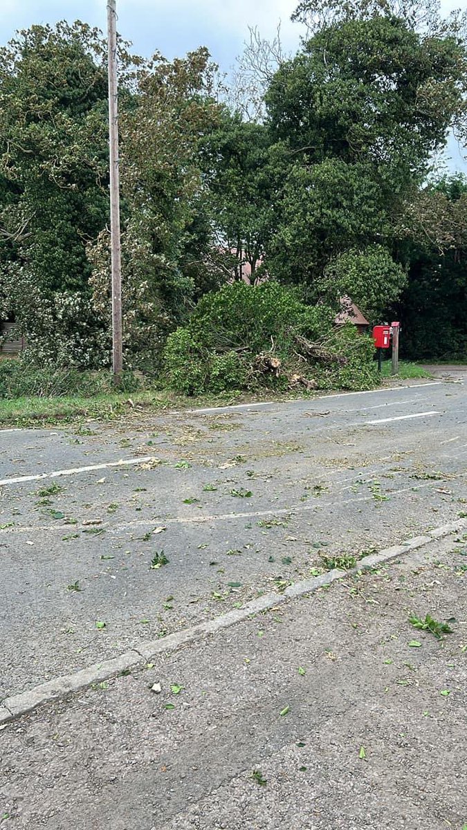 rae_lloyd's tweet photo. Amazing what you can do with a @JCBagriculture loadall. Tree cleared within 30mins of being informed of it blocking the road! https://t.co/28kQtDklPv