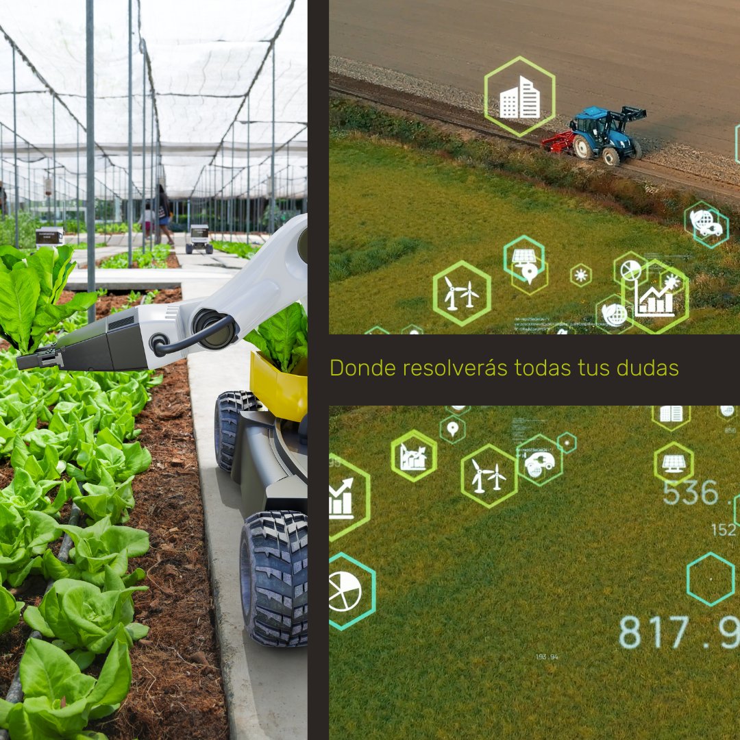 InnowaFame's tweet photo. 🌱¡La revolución verde ha llegado!

Los avances en maquinaria agrícola 🚜 están transformando la agricultura tal como la conocemos. Desde tractores inteligentes hasta drones de alta tecnología, estas innovaciones están ayudando a cultivar más alimentos de manera más eficiente. https://t.co/Wkf1D4CLMX