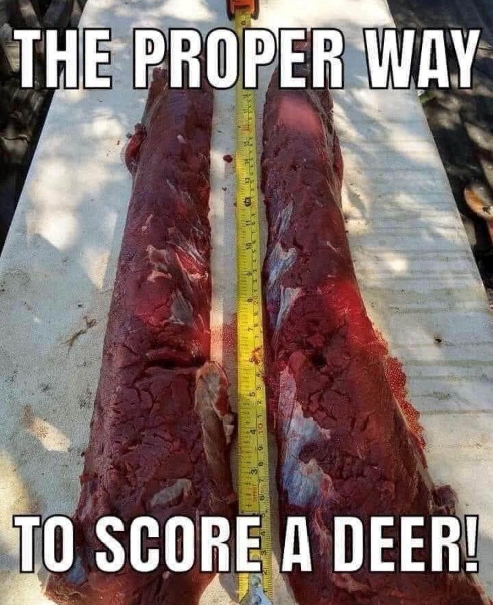 SPORTSMANchnl's tweet photo. Like and share if this is how you score your deer! - Mark Crook 

#ITSINOURBLOOD #hunting #deer #deerhunting #venison #backstraps #whitetail #whitetaildeer #whitetailhunting #wildgame https://t.co/9MTjfVg3NM