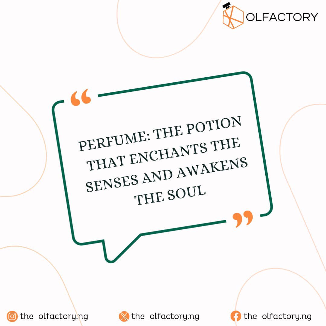 the_olfactoryng's tweet image. Please never forget to put on a perfume.

It’s not just so you’ll smell nice, but there’s an awakening that comes with good scents.

#Justice4Mohbad #designerperfumes