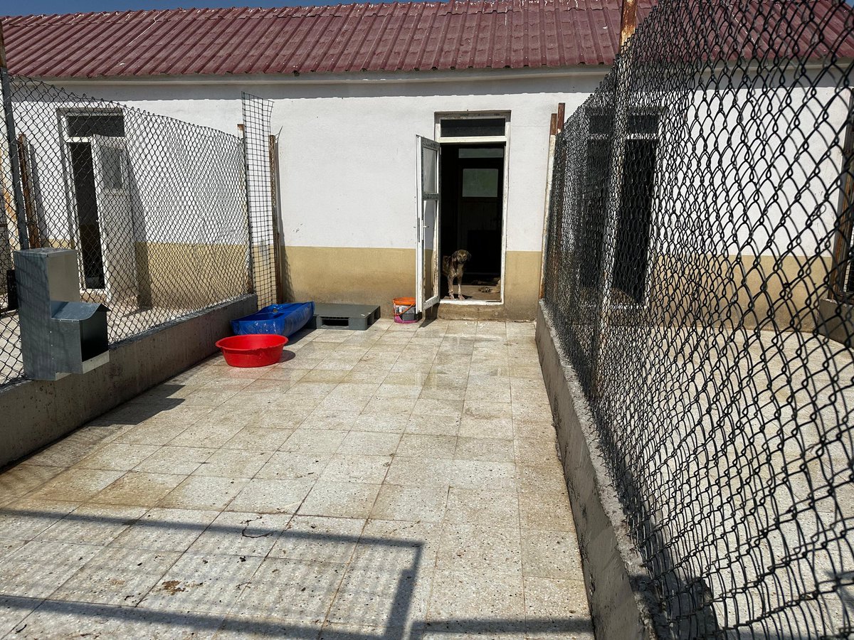 TC_Sebintarim's tweet photo. Sokak Hayvanlarının bakım ve tedavisi için hizmet veren Belediye Geçici Bakım Evinde Doğa Koruma ve Milli Parklar Şefliği ile birlikte denetim yapıldı. CANlar için imkanlarını zorlayarak gayret gösteren başta Belediye Personeli olmak üzere herkese teşekkür ederiz.. https://t.co/Z5nWjAbxHX