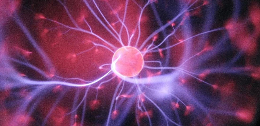 indiatimes.com/technology/sci… #cells #cellscience 
visit : longdom.org/cell-science-t…