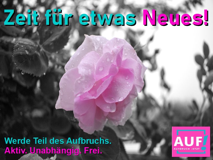 Die #EuropäischeUnion steht für eine Selbstbedienungsmentalität, welche absolut inakzeptabel ist. Zwei #Parlamentssitze in #Brüssel &amp; #Straßburg, weit über 700 Parlamentarier &amp; fast 30 Kommissare. Wir brauchen echte Reformen statt Augenwischerei.

#AufbruchJetzt #BereitFürBrüssel