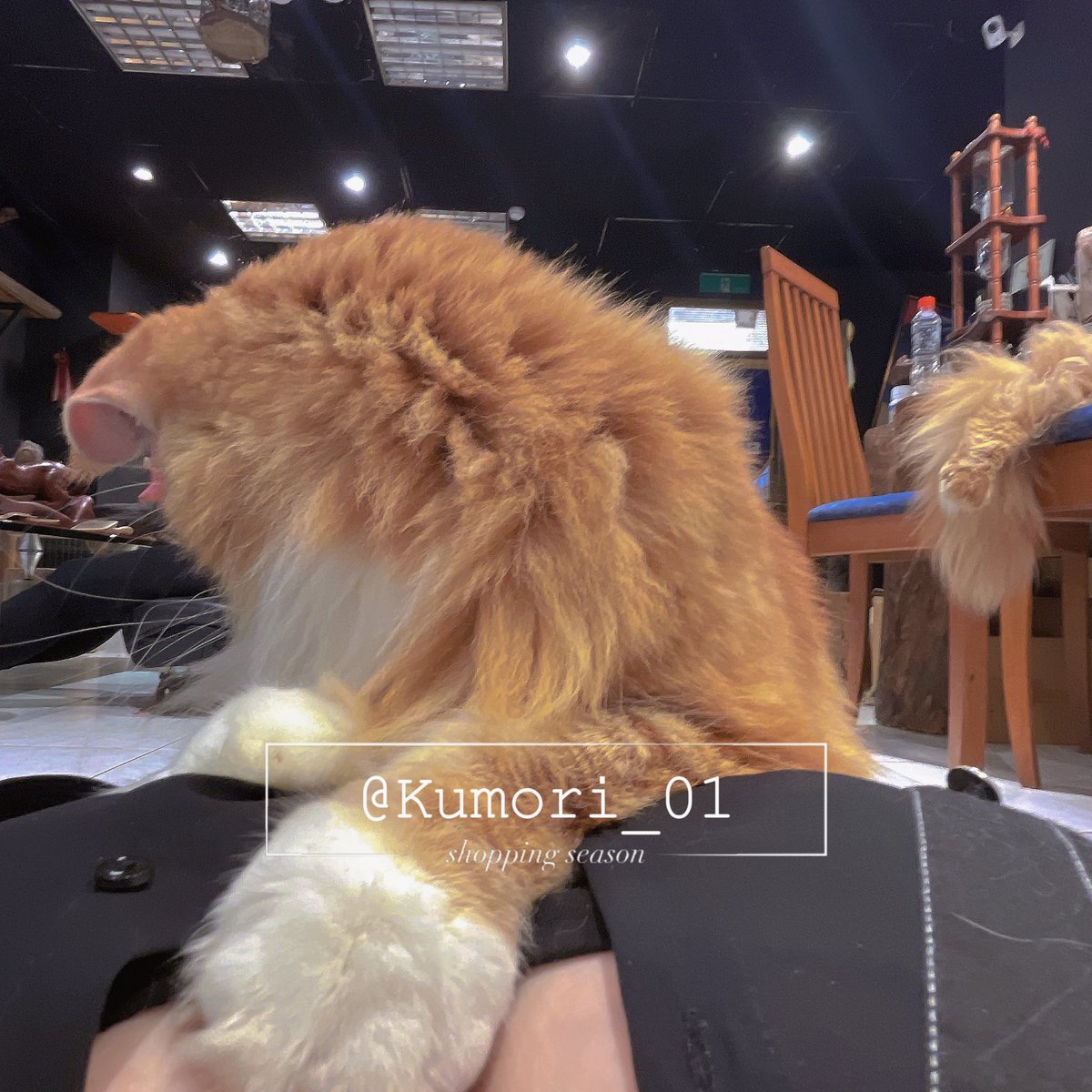 曇𝘒𝘶𝘮𝘰𝘳𝘪☁️【3/15CF參展！｜新刊販售中】你的173/34JCup反差女友🩶 tweet media