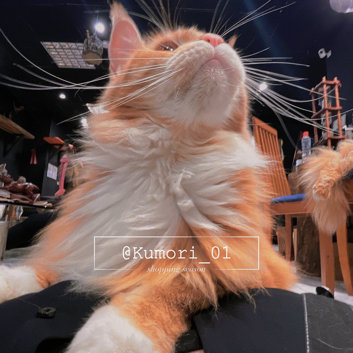 曇𝘒𝘶𝘮𝘰𝘳𝘪☁️【3/15CF參展！｜新刊販售中】你的173/34JCup反差女友🩶 tweet media