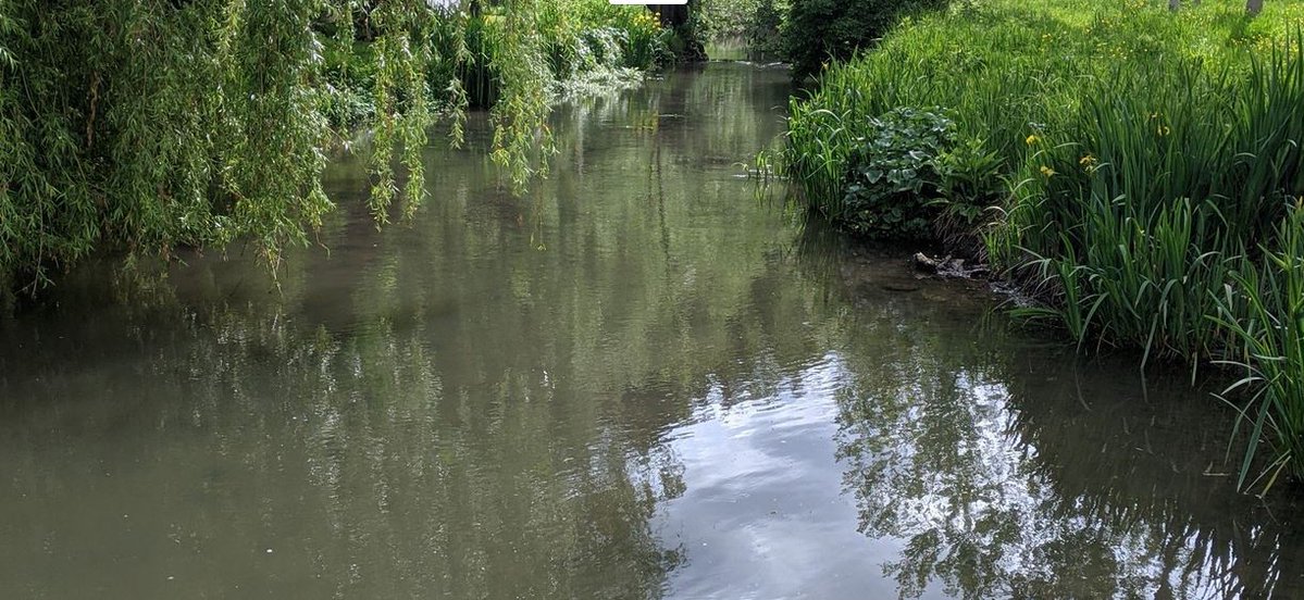 Prefet86's tweet photo. 👏@Prefet86 se félicite de la signature du contrat territorial du #Clain Aval
🗓️Un programme d'actions des acteurs du territoire pour la restauration des Milieux Aquatiques sur le bassin du #Clain 💧
✅L’État en #Vienne86 s'engage à accompagner ces dynamiques de territoire https://t.co/Zf2SzQBXZL