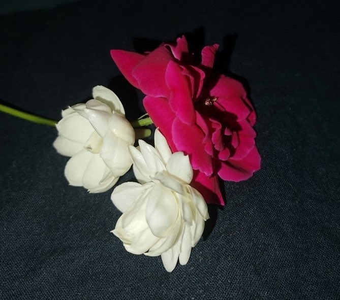 دنیا تے اک ماں جہڑی رکھدیا نظر کرم دی
ماں پیو باجھ محمد بخشا پیندی سخت مصیبت غم دی