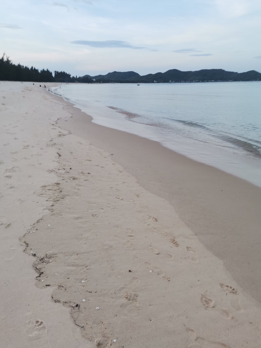 nguyen_suakt (@nguyen_su9563) on Twitter photo Ruou dang, Ruou cay, Ruou van het.Nguoi Hua, Nguoi the, Nguoi van quen& Ruou dang, Ruou cay, Ruou van het.Nguoi Hua, Nguoi the, Nguoi van quen&