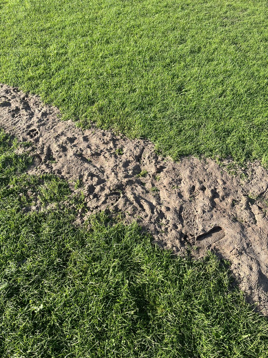 kingsthorne_JFC's tweet photo. This is what @HalewoodTC think is a suitable repair to the pitch. Sand threw down on top of the parts that are damaged.

If a player was to get his foot caught in this it would cause a high chance of a serious injury!

(Part 2) https://t.co/Ov8ddDJAlS