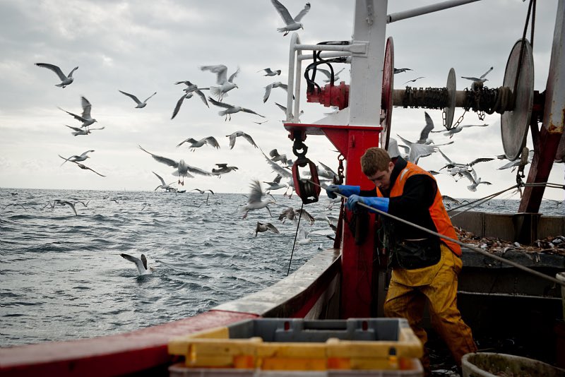 LoigCG's tweet photo. L’annonce de la fin des aides gasoil pour les pêcheurs par @HerveBerville a créé le trouble.

Ce sont des artisans de la Mer. Ne pas les aider, c’est ouvrir la porte aux bateaux usines aux capitaux lointains. En Bretagne, ce serait alors tout un écosystème qui s’effondrerait. https://t.co/sC5yhMuXXk
