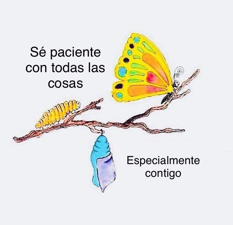 ariel_grunwald tweet picture