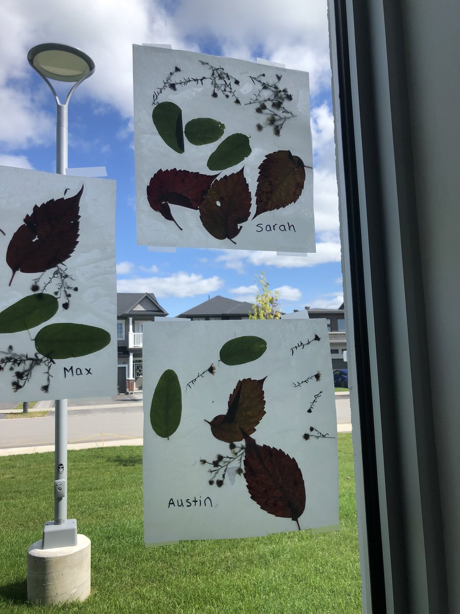 The children enjoyed creating their own wax paper leaf art! The signs of fall are all around us!
“Autumn is a second spring, when every leaf is a flower”
🦉♥️🍁🍂🦉♥️🍁🍂🦉♥️🍁
<a href="/BernadetteOCSB/">St Bernadette OCSB</a>