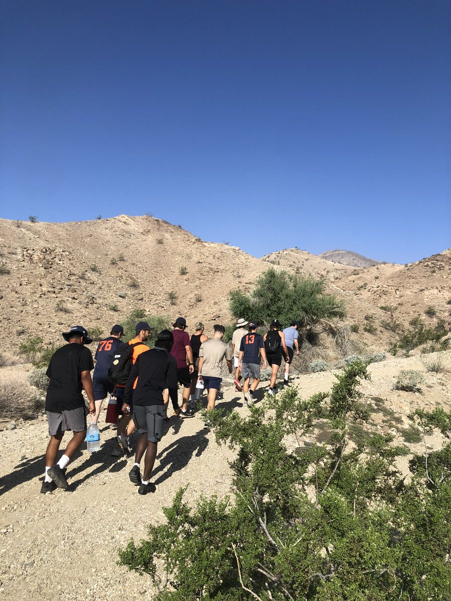 California Grizzlies Collegiate Baseball tweet media