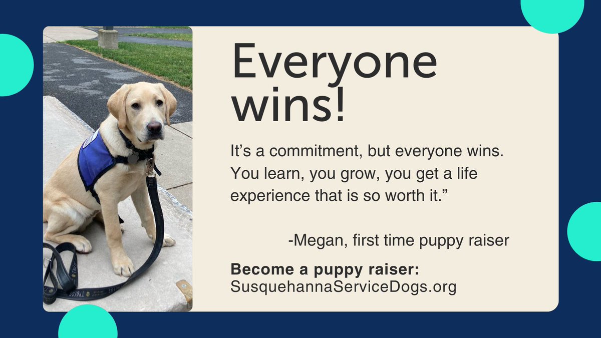 “It’s a commitment, but everyone wins. You learn, you grow, you get a life experience that is so worth it,” says Megan, a first-time puppy raiser.

Puppy raisers make a difference! Sign up today to raise a puppy! Find all the details on our website: khs.org/what-we-do/ass…