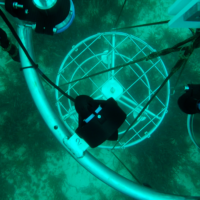 FBiodiversidad's tweet photo. El proyecto Landerpick3 ha perseguido desarrollar un novedoso sistema de largado y recogida de landers oceanográficos consiguiendo:
✅ Mejoras en el prototipo de vehículo de operación remota.
✅ Finalizar los trabajos en la ZEC de El Cachucho.
#ProyectosFB #Pleamar