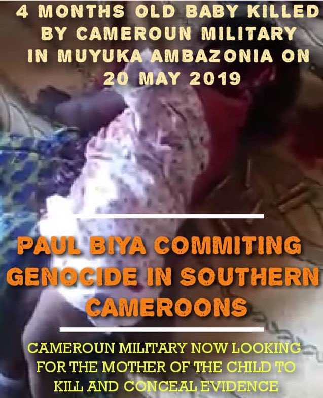 pabiedu1's tweet photo. @StateDept @POTUS 🇨🇲 aided by 🇫🇷 has annexed #Southerncameroons &amp; is committing #CrimesAgainstHumanity daily yet the #USA &amp; #UNSC are mute!
@SecBlinken @RepGregoryMeeks 
@SamanthaJPower @SenatorRisch 
@ChrisVanHollen @HouseForeign 
@SenateForeign @VP @POTUS 
@StateDept  
@ChrisCoons @USEmbYaounde https://t.co/p81QTZilY6
