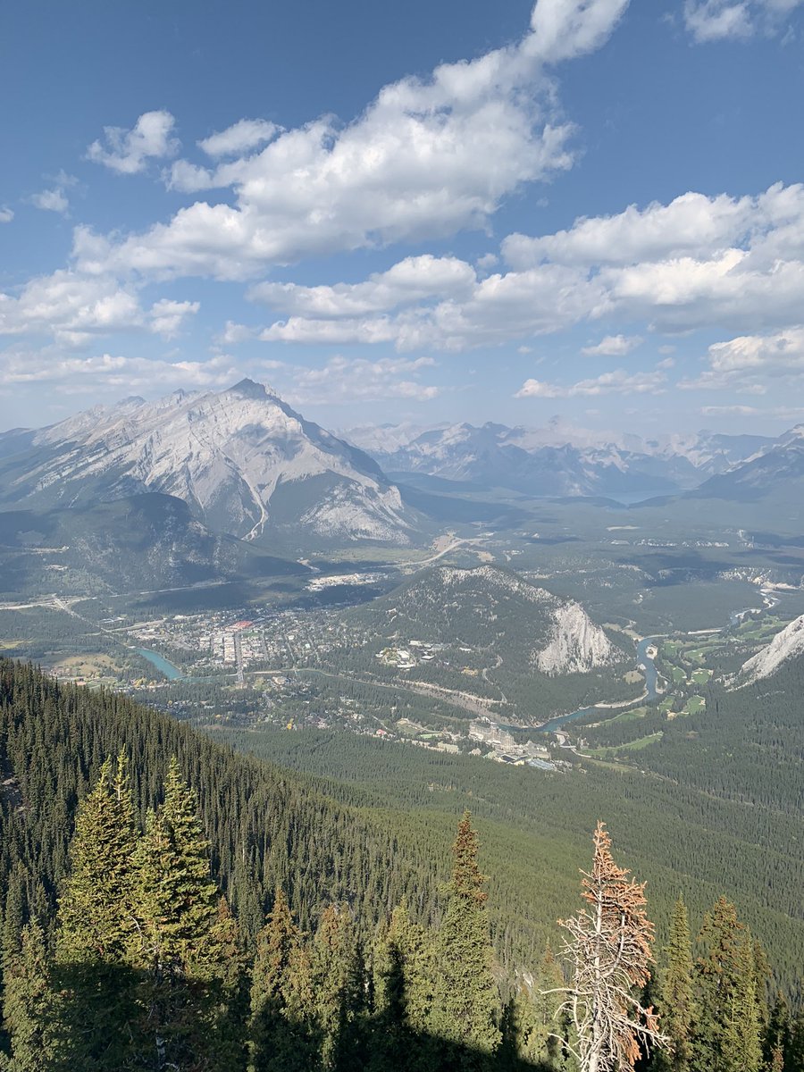 Becky Menday tweet media