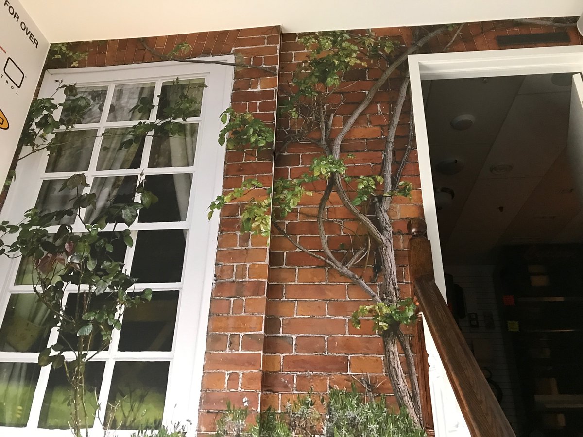 Innovatesigns's tweet photo. #torontointeriordesign #torontohomes #toronto #torontorealestate #torontodesign #interiordesigntoronto #interiordesigner #torontodesigner #torontocontractor #ttc #torontolife #torontobuilders #torontorenovation #torontointeriordesigner #torontoconstruction #torontointeriors https://t.co/Dw9aLxMX7X