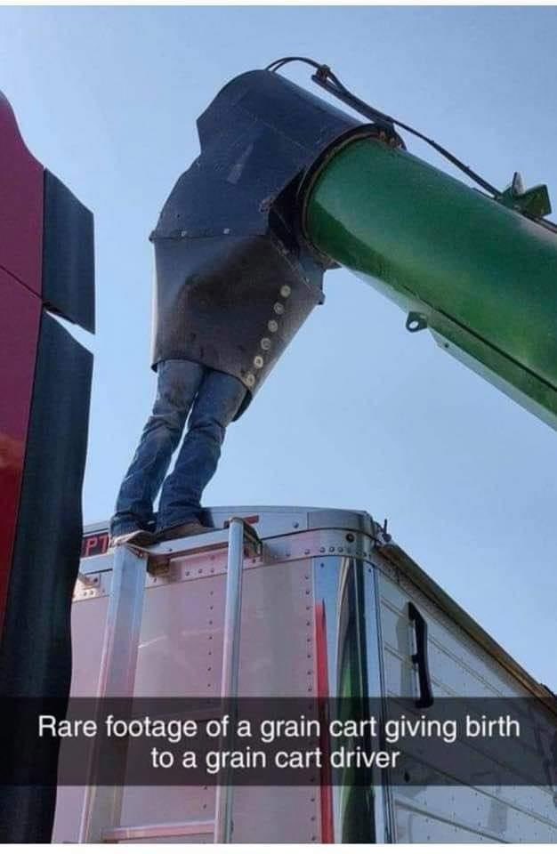 Purdue’s Tuba Guy (@shelldz) on Twitter photo 