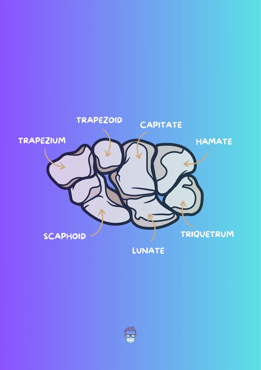 How the carpal bones got their names?

👇

Scaphoid skaphos (Greek) = a boat
Lunate lunata (Latin) = moon
Triquetrum triquetrus (Latin) = three-cornered
Pisiform pison (Greek) = pea
Trapezium trapezion (Greek) =  little table
Trapezoid trapezoides (Greek) = table shaped
Capitate