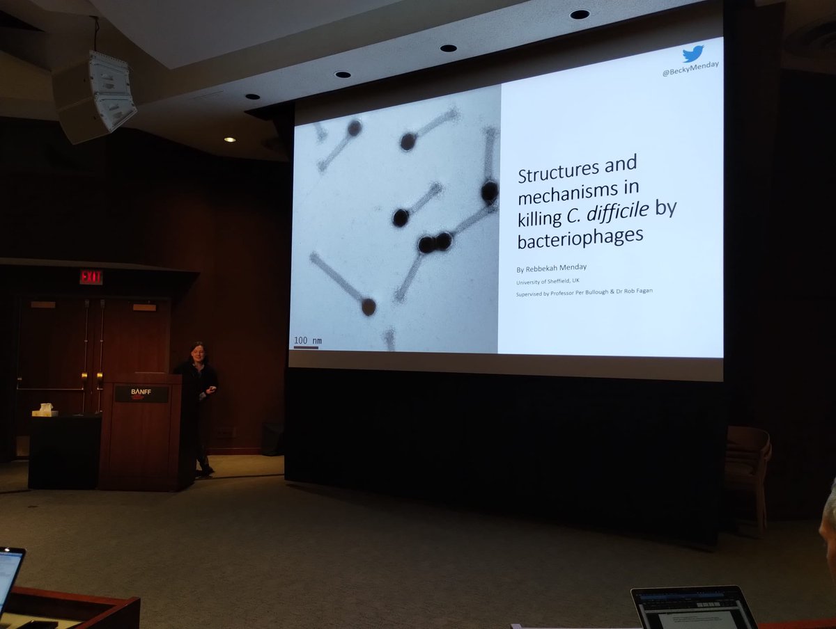 Becky Menday tweet media