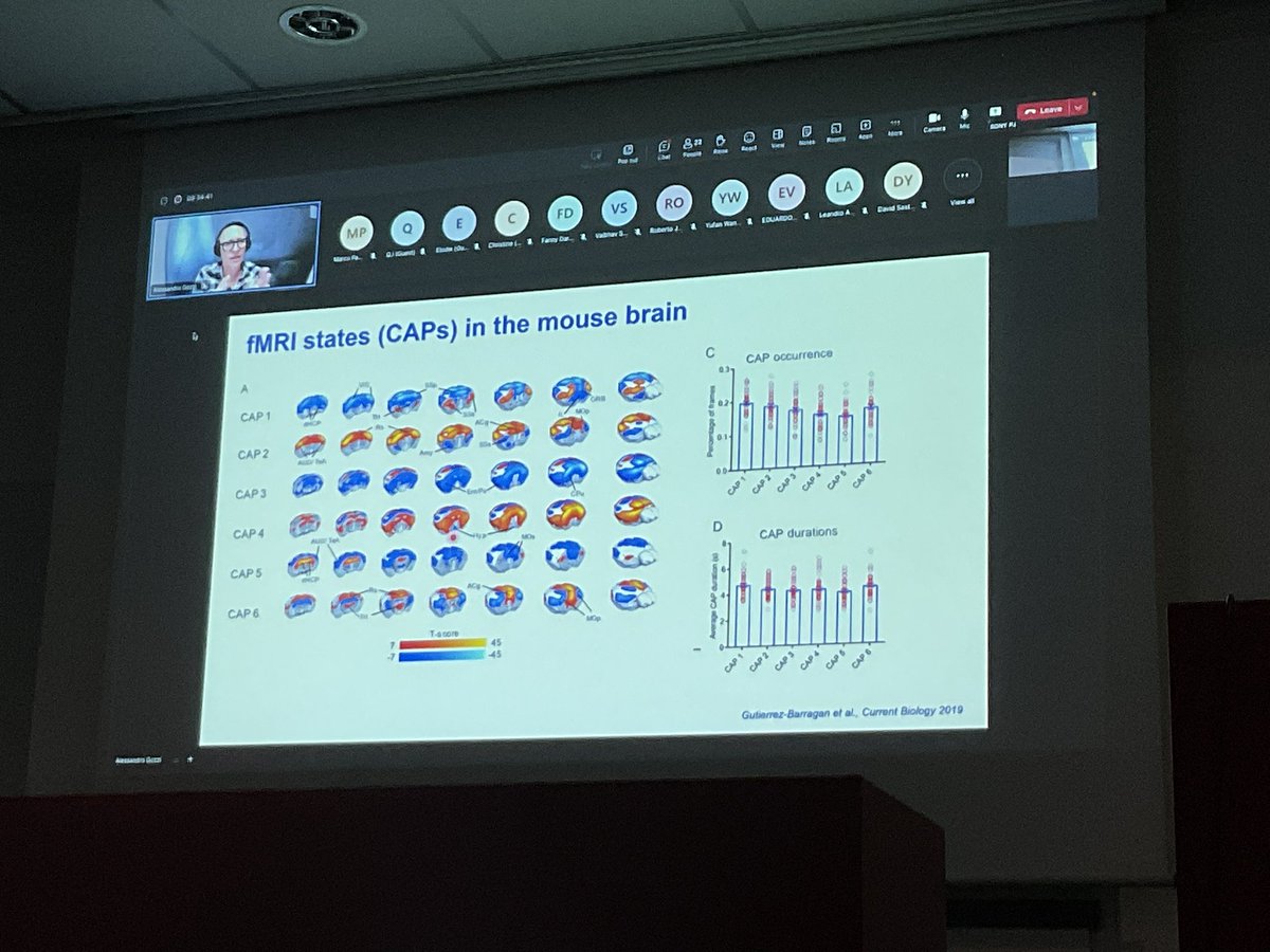 katjaQheuer's tweet photo. Now at #compMRI @Gozzi_Ale on Evolutionarily conserved fMRI network dynamics in humans, macaques and rodents
@R3RT0 @NeuroecologyLab @AssafLab https://t.co/LKdd58Q4kp