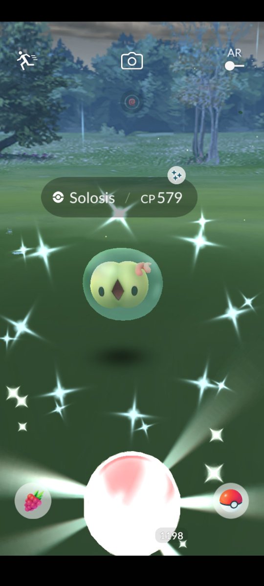 DCEmily3's tweet photo. Quickest shiny hunt yet! 
#PokemonGO https://t.co/ED8KU5vFVR