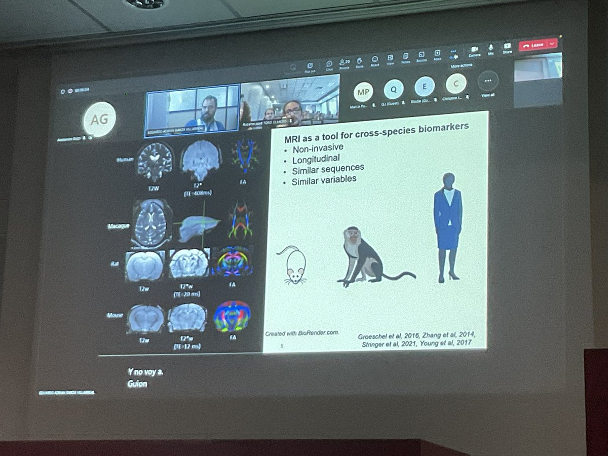 katjaQheuer's tweet photo. Final talk of day 2 #compMRI : @egarzav presenting Developmental trajectories to study disease between species
@R3RT0 @NeuroecologyLab @AssafLab https://t.co/w5AQRE8GEO