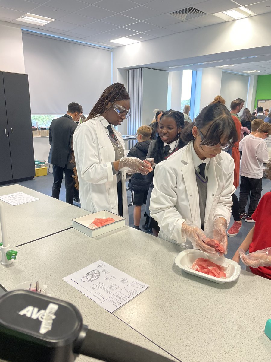 MrFitzgerald_RE's tweet photo. Great to see so many year 10 pupils helping out @NewmanRCCollege open evening 👩‍🔬👨‍🔬✝️ https://t.co/2KgJlu23M3