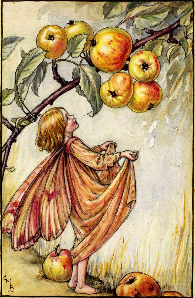 An #Autumn Fairy for my lovely northern hemisphere friends. It’s the Crabapple Fairy by #CicelyMaryBarker