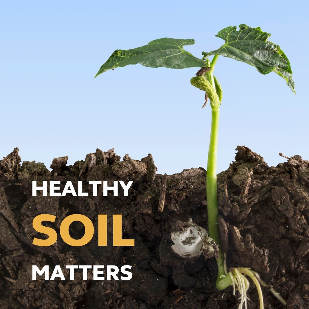 A lot can be gained from having healthy soil! Combating soil erosion could yield yearly benefits of $62.4 billion in nutrients like nitrogen, phosphorus, and potassium, says the @unep in a new report. 🌱 lght.ly/2d0pg3