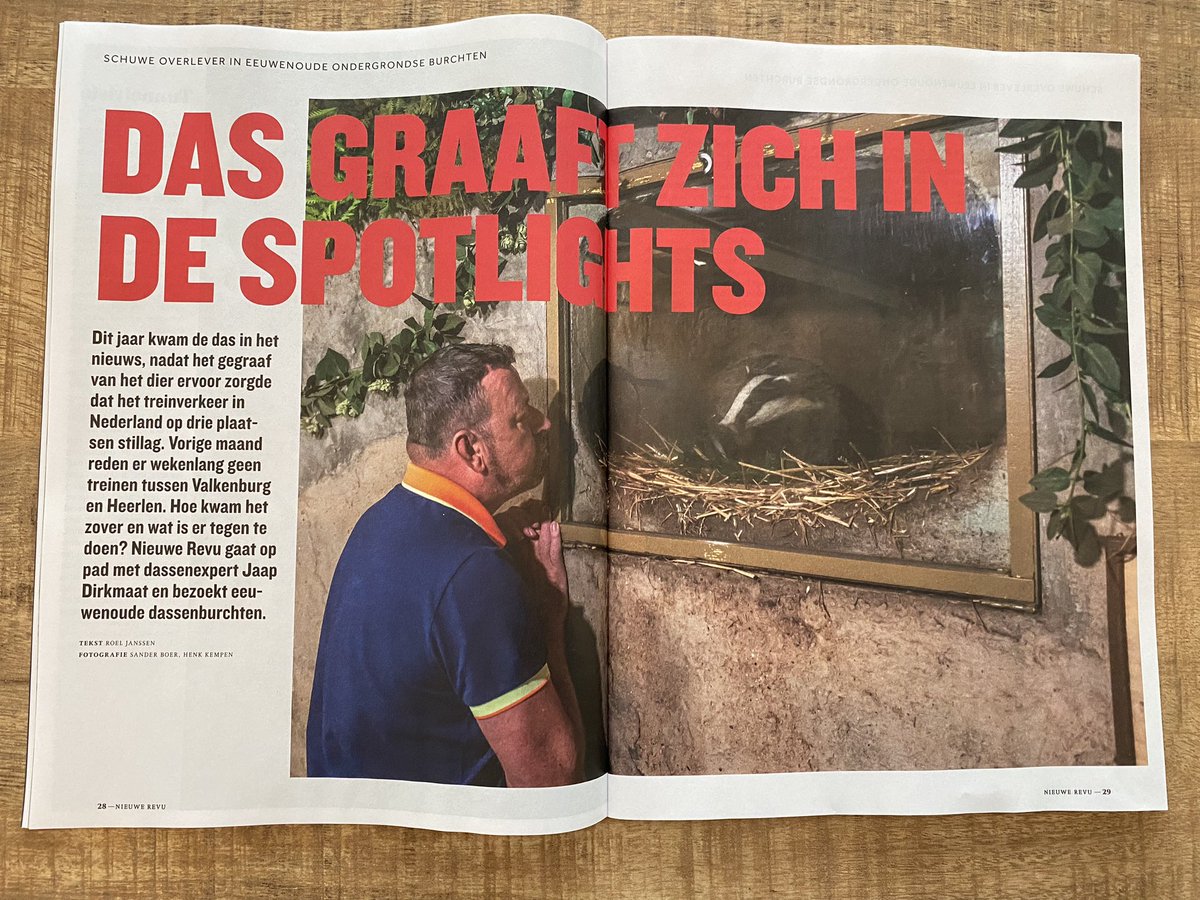 Dit jaar kwam de das in het nieuws, nadat het gegraaf van het dier ervoor zorgde dat het treinverkeer op drie plaatsen stillag. Hoe kwam het zover? Voor <a href="/NieuweRevu/">Nieuwe Revu</a> ging ik op pad met Jaap Dirkmaat van <a href="/DasenBoom/">Das&Boom</a> en bezocht eeuwenoude dassenburchten. 8 pagina’s leesvoer!