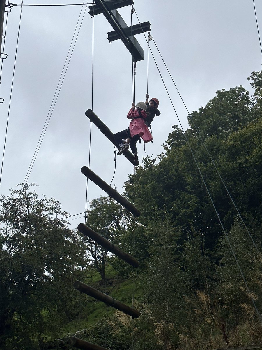 Cawood Primary tweet media