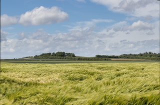 GCP pauses southeast busway to secure yet more funding when there’s a £100m cheaper alternative, which saves our countryside. Come to our public meeting at 7:30pm on Mon 9 October at Stapleford Pavilion CB22 5BQ for an update from James Littlewood Cambridge Past Present & Future