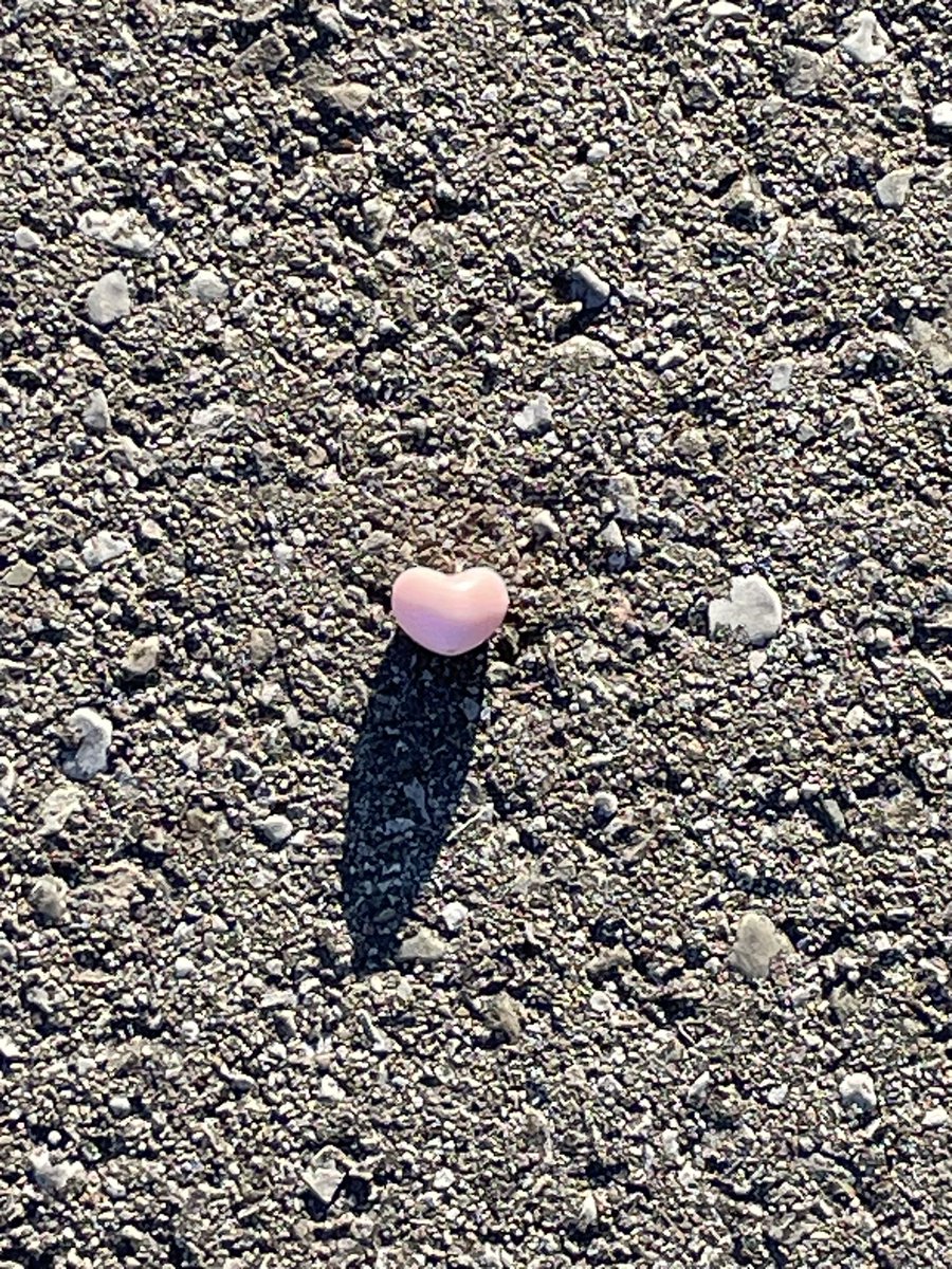 Sarah Schoettler tweet media