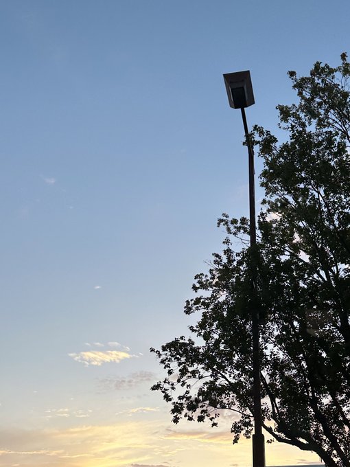 Twitterのコスプレ画像16