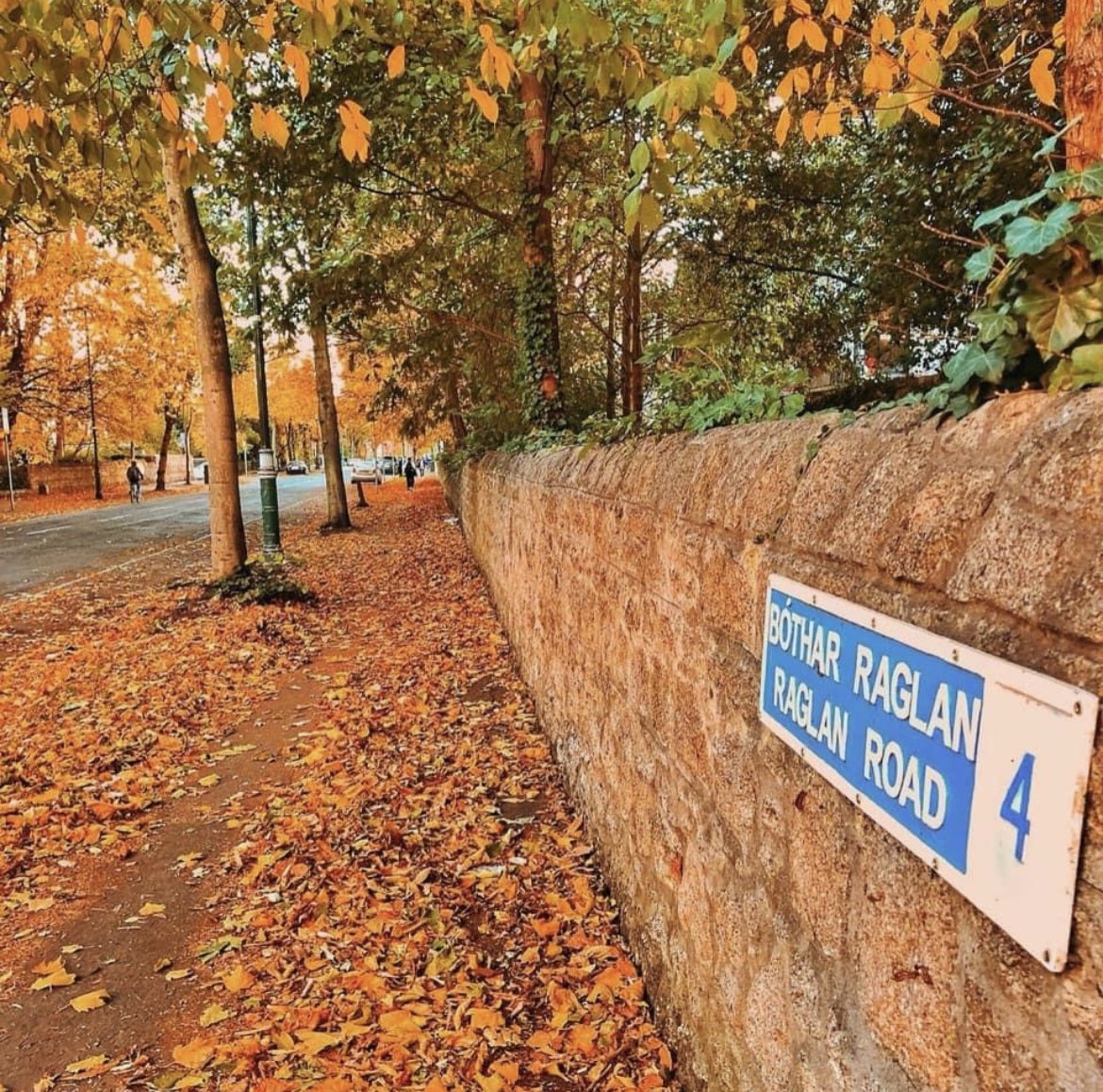 TG4TV's tweet photo. 🎶On Raglan Road of an autumn day I saw her first and knew
That her dark hair would weave a snare that I might one day rue
I saw the danger, and I passed along the enchanted way
And I said, let grief be a fallen leaf at the dawning of the day...🍂 https://t.co/Aq0KK0EkbM