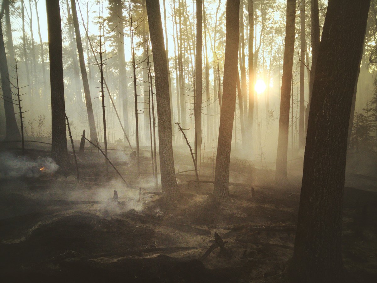 What role can National Adaptation Plans (NAPs) play in addressing loss and damage?

<a href="/NAP_Network/">NAP Global Network</a>'s review provides insights into NAPs' potential in minimizing and responding to #LossAndDamage. 

➡️ ggkp.org/ZMf