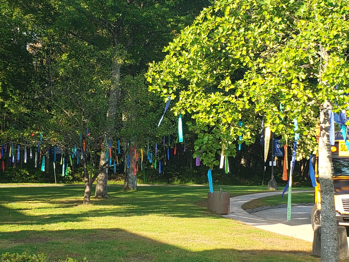 K_5_LMS's tweet photo. As part of our one book, one school reading of Wishtree by @kaaauthor GHR students made their very own wishes and they were hung in trees around our property today. We are inspired by the beauty and looking forward to our author visit on October 2nd! @GhrPrincipal https://t.co/tNbfXKt5z4