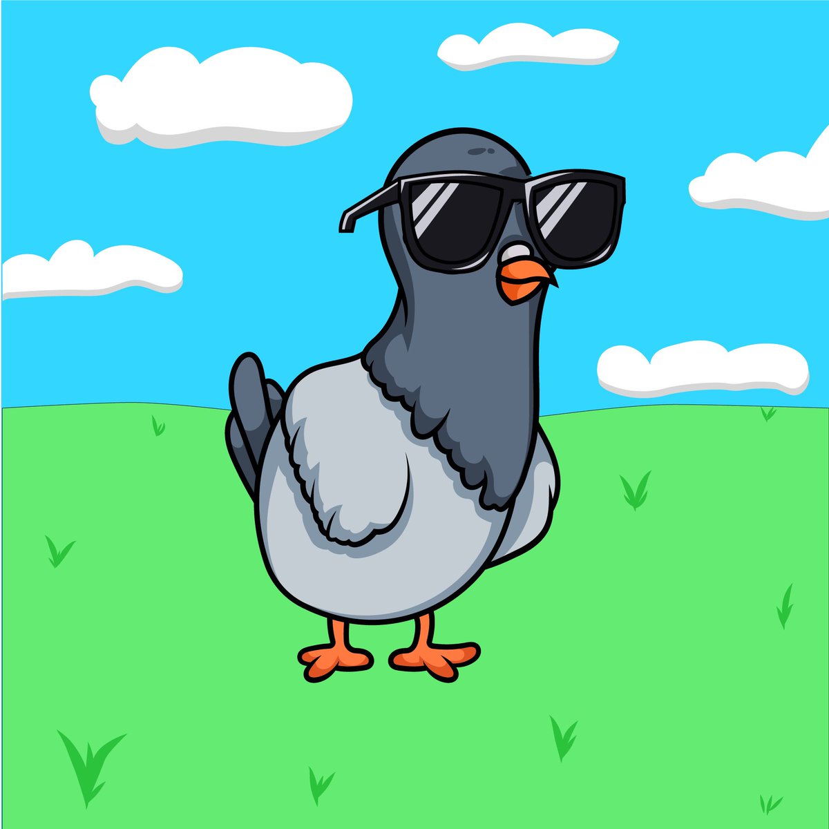 Genze_co's tweet photo. @opensea We’re back. Only one pigeon project to look for! https://t.co/SiqWKe1o7J