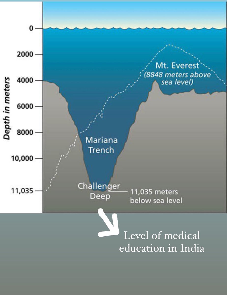 autopsy_surgeon's tweet photo. The lowest point of the ocean is called as the Challenger Deep which is located in the Mariana Trench. 

Challenger Deep is approximately 36,200 feet deep (almost 11km below sea level).

But the level of medical education is India is even below the Challenger Deep. #MedX #MedTwitter