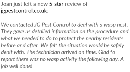 JG Pest Control (@jgpest) on Twitter photo We certainly didn't give Joan a reason to moan at us 😉
A wasps nest safely and professionally dealt with 🐝🐝🐝
Another ⭐️⭐️⭐️⭐️⭐️<a href="/Trustpilot/">Trustpilot</a> review to add to the 4,902 5-star reviews we already have 👀 We certainly didn't give Joan a reason to moan at us 😉
A wasps nest safely and professionally dealt with 🐝🐝🐝
Another ⭐️⭐️⭐️⭐️⭐️<a href="/Trustpilot/">Trustpilot</a> review to add to the 4,902 5-star reviews we already have 👀