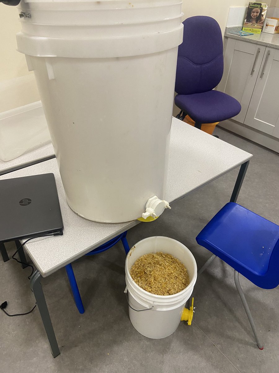 norbridge_bees tweet media