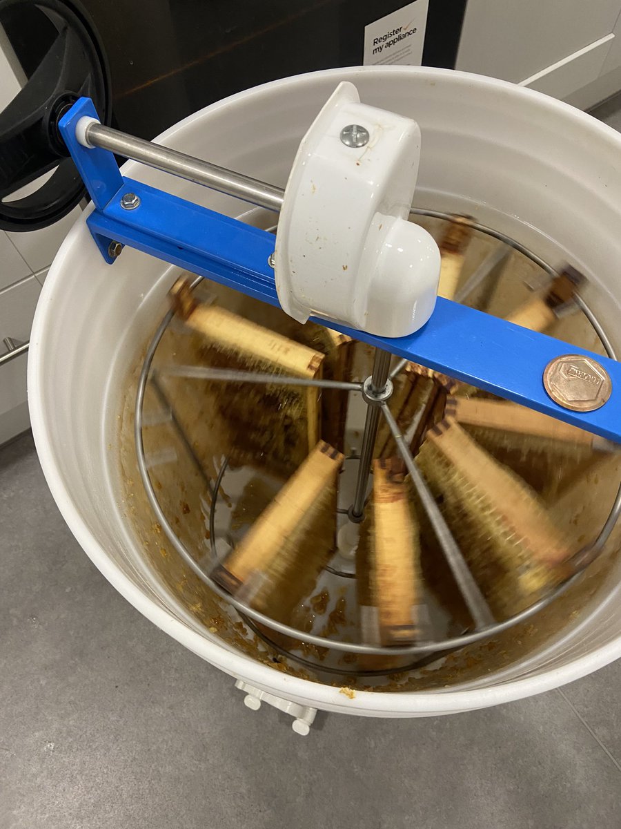 norbridge_bees tweet media