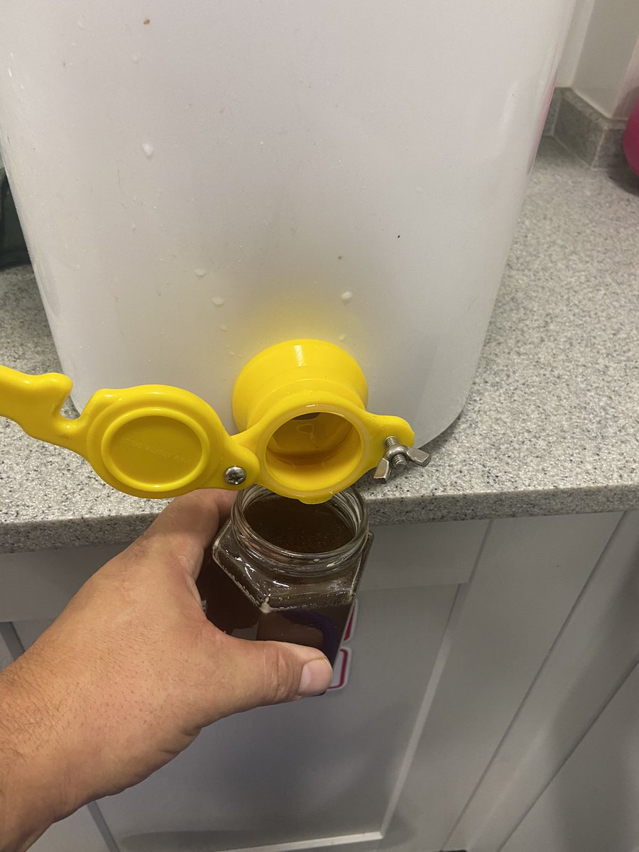 norbridge_bees tweet media