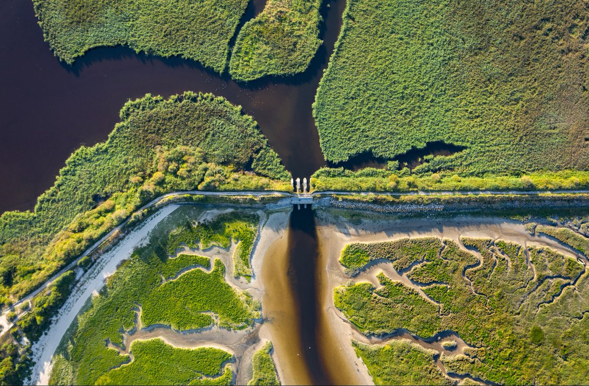 We are thrilled to share this article, in which Vincent Charpiot, Head of Group Sustainability Business Accelerator at <a href="/Capgemini/">Capgemini</a> , outlines how technology can help with understanding, monitoring and preserving biodiversity 🌱🌏

” It is clear that technological solutions are