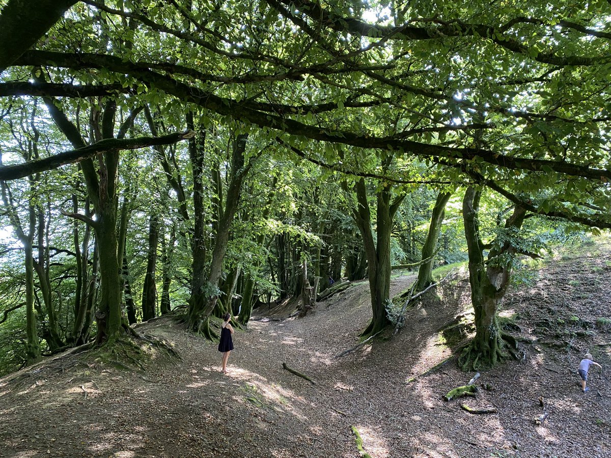 Vicky_liddell's tweet image. Hembury Hillfort, near Payhembury, Devon. An Iron Age multivallate hillfort with well defined defences overlying remains of a Neolithic causewayed enclosure. Briefly occupied by Roman military. #hillforts #ancientbritain #devon #hembury #HillfortsWednesday #RomanBritain