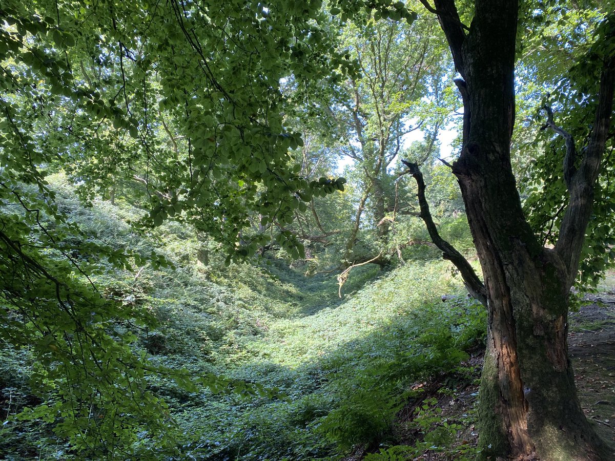 Vicky_liddell's tweet image. Hembury Hillfort, near Payhembury, Devon. An Iron Age multivallate hillfort with well defined defences overlying remains of a Neolithic causewayed enclosure. Briefly occupied by Roman military. #hillforts #ancientbritain #devon #hembury #HillfortsWednesday #RomanBritain